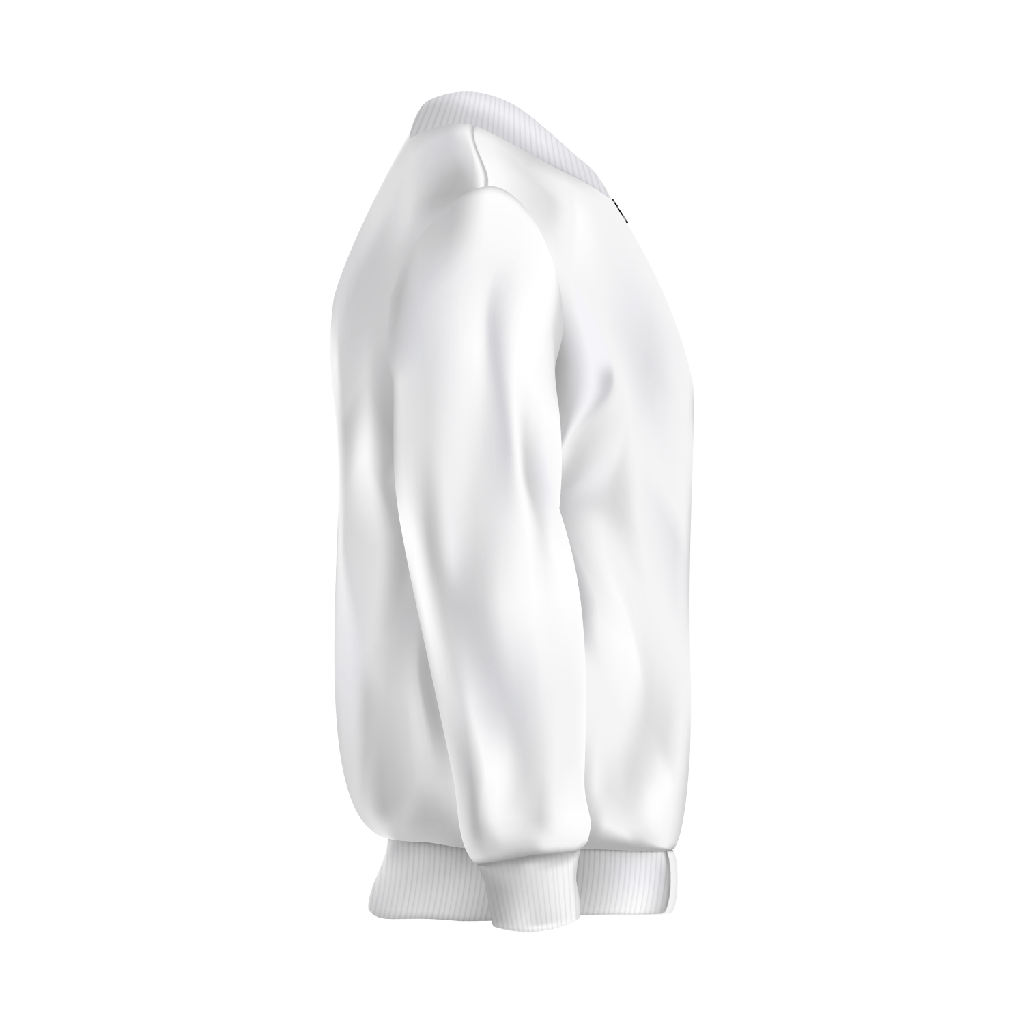 Albany-firebirds-quarter-zip-sweatshirt
